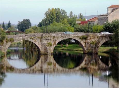 Acogedor Apartamento Ribeira Sacra 몬포르테데레모스 외부 사진