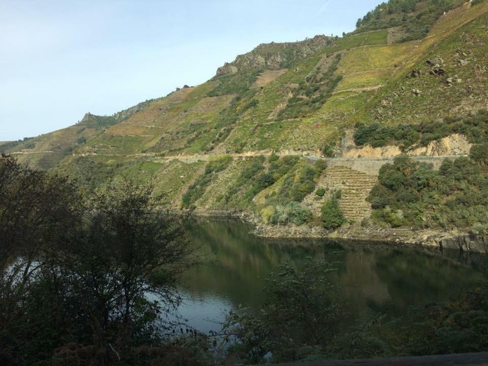 Acogedor Apartamento Ribeira Sacra 몬포르테데레모스 외부 사진